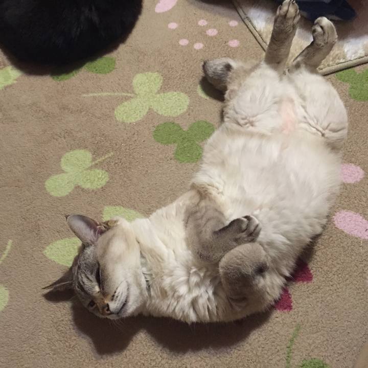 964effd2 4a1c 4d12 9ebc d9fbcb534499 1546945241998