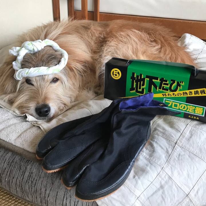 964f5a49 65e5 4308 a285 e422ebe49098 1647155092025