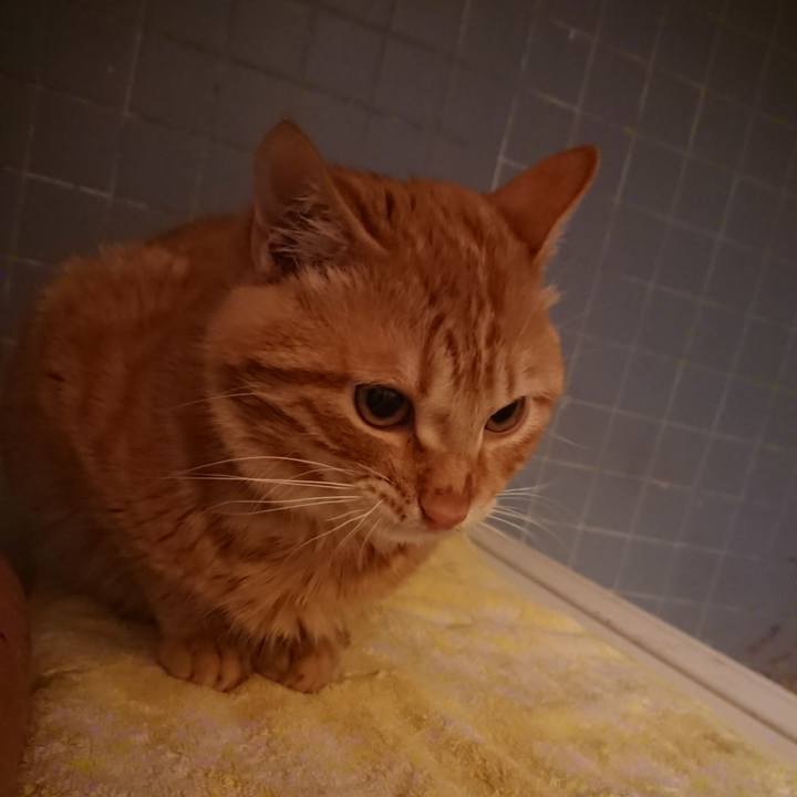 964f9530 7830 48d5 bc82 a37a1df5463d 1640941630975