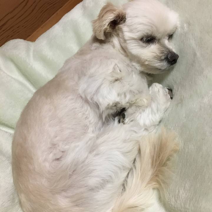 964fce3f 8324 434a 8466 8091b0084729 1516104455053