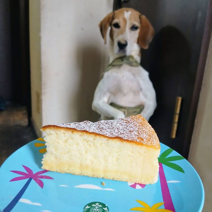 964fd056 6b94 4836 8ac1 915becf09325 1756889689501