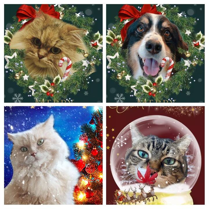 964fdfdb 182f 4da9 8025 6c5d993a5a52 1640317391884