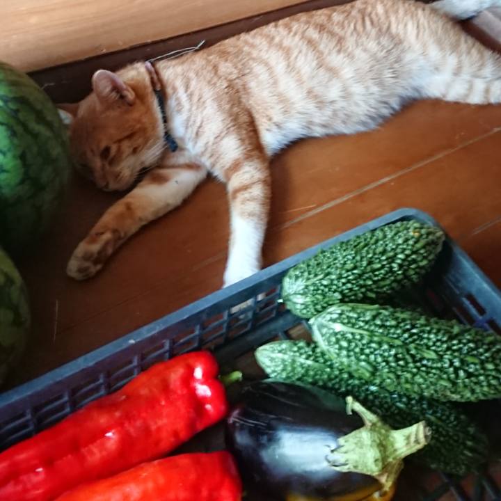 964fe16b c712 41c2 8e10 ff6c59934f81 1567844859225