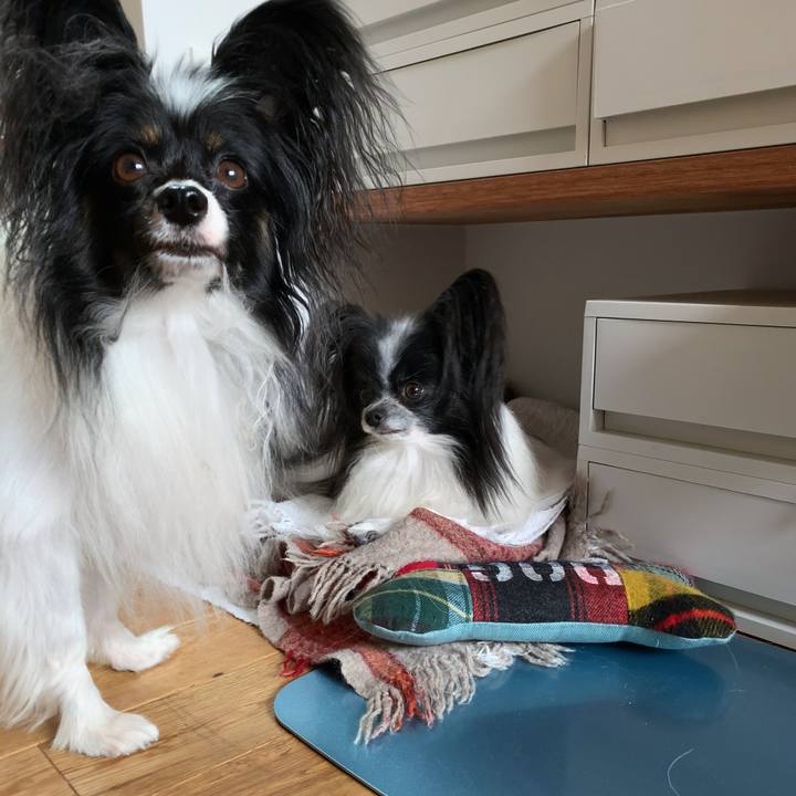 965004f5 a163 4245 9dcf d947b6170fa0 1568421593350