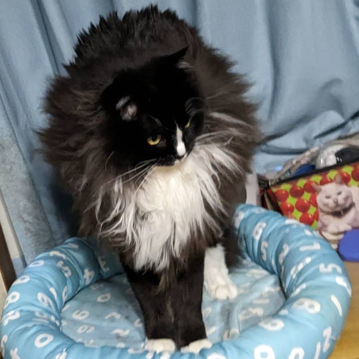 96501e83 0f1b 4863 8771 8ba13695dd55 1693052437242