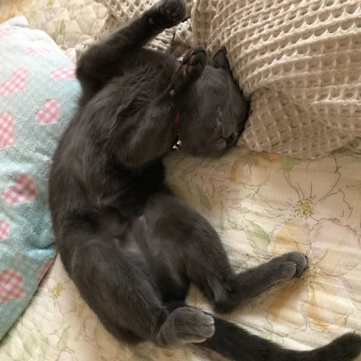 965022e9 db79 4c10 ab75 e87b41988836 1531463595874