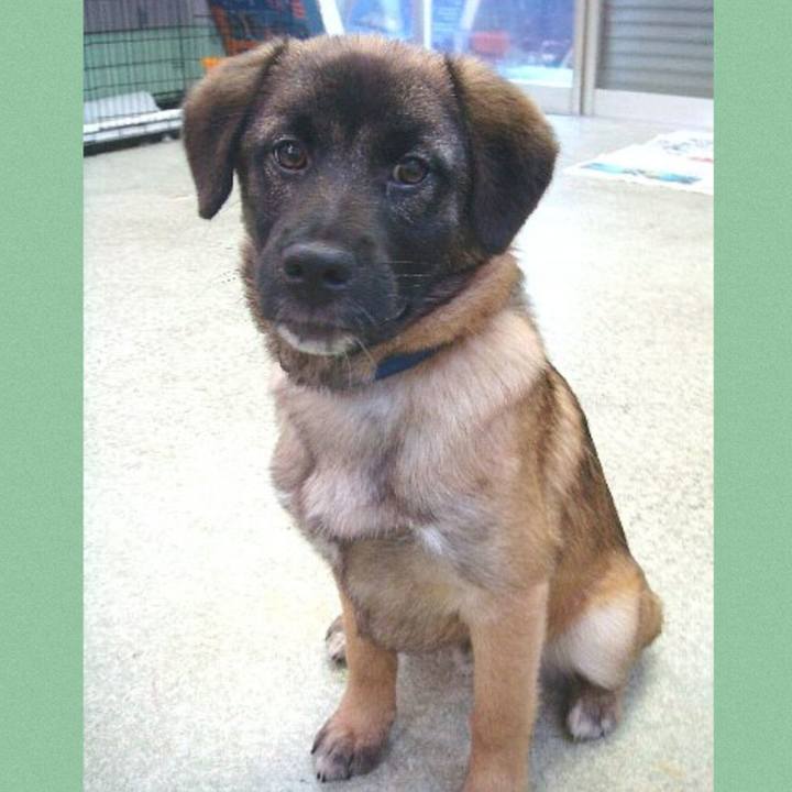 96502648 1cdc 4c2d a4d2 19925fd7ac96 1670720556250