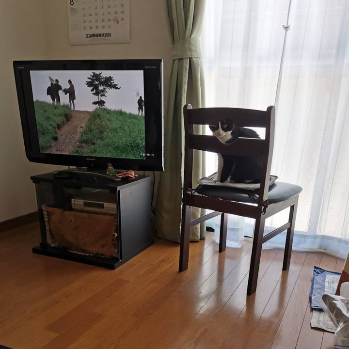 9650449a eab1 48bb 94cc 58288a61f332 1693886921645