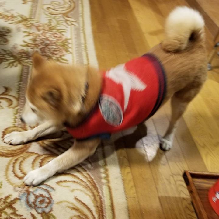 96504b65 2398 442a a5c2 bde85dd1babd 1582538322627