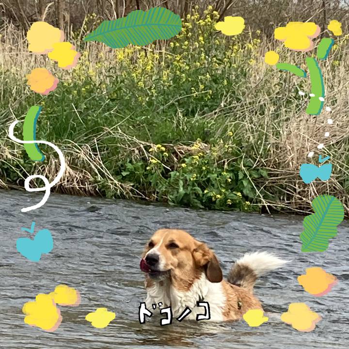 96504f1b d332 49a5 b0ee b5d252e84b67 1744336386393