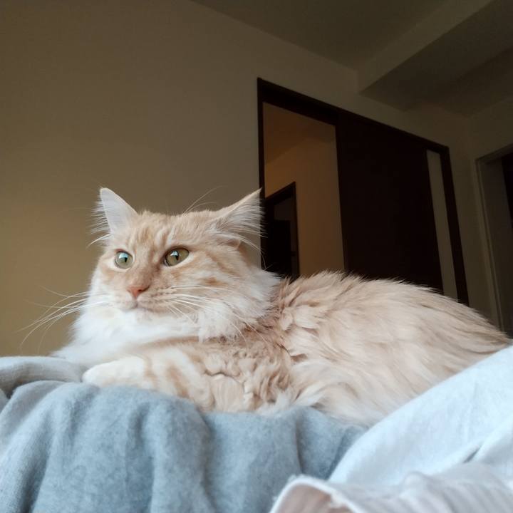 96505ec8 3f80 4a7f b47e 2ef0ee635100 1650317739685