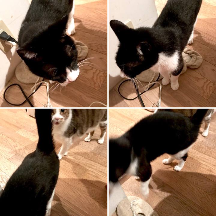 96508e2a 53da 429f aadf 9235a50b0241 1524713644946