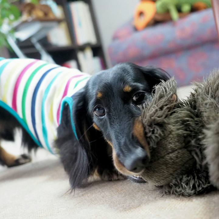 9650ff4d 172b 46b9 82fc 12a9088b25f8 1563431340549