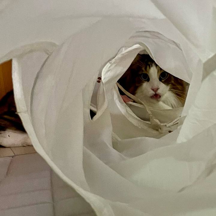 96514099 dcfb 4c80 b40d 5a1794adf0f3 1726258387453