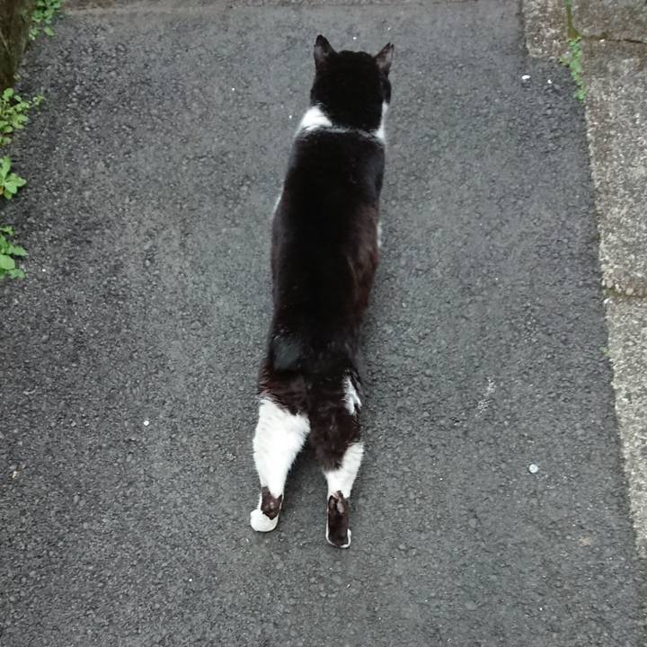 965142dc 50c5 41b0 8775 7c710078c34f 1648549178449