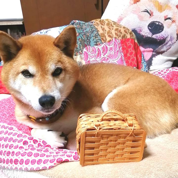 96517305 1e76 43b2 ab97 894bd814511e 1655980716714