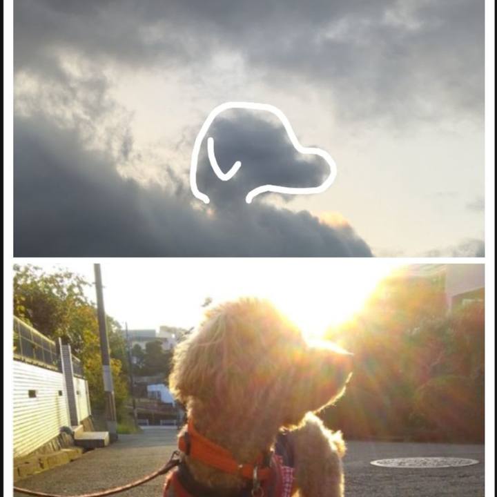 96517855 7bd9 42e9 b0e8 d6ed9b83e08d 1772617562543