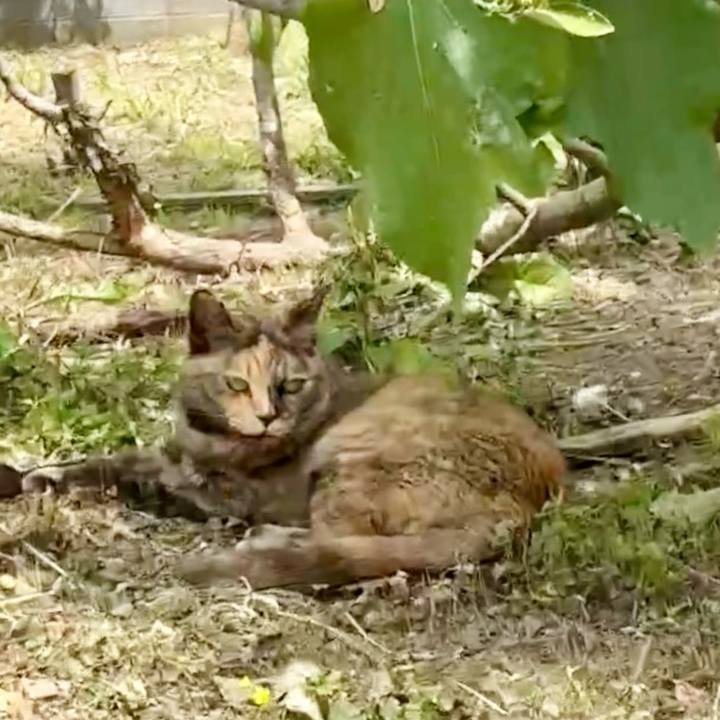 965198b5 be58 4318 8900 6e209e3a0b0c 1748574140016