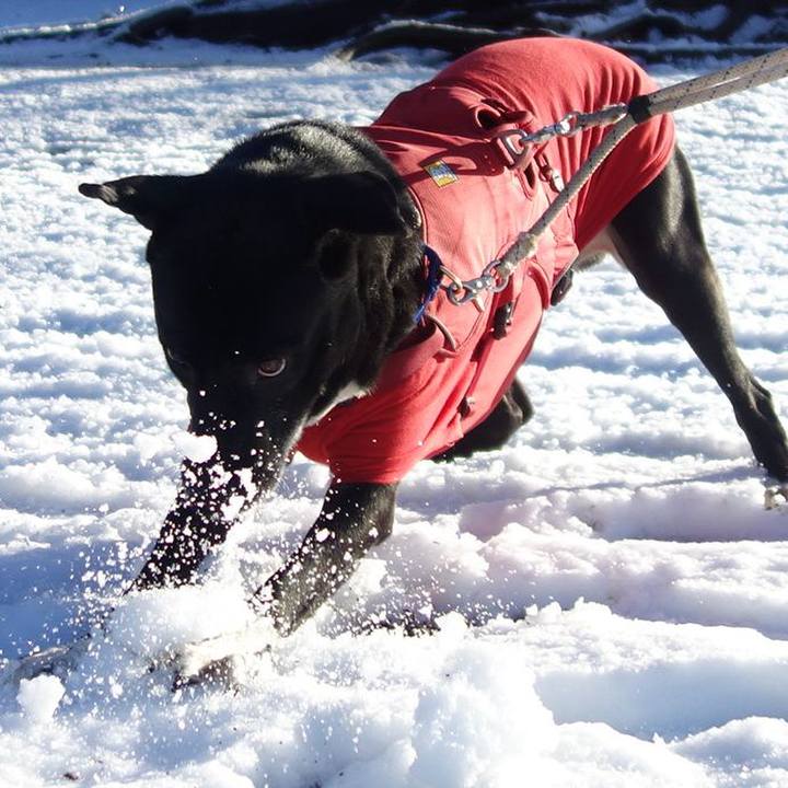 9651a3ee 1dc6 47d4 80fd 1d6bf63d7633 1676078251092