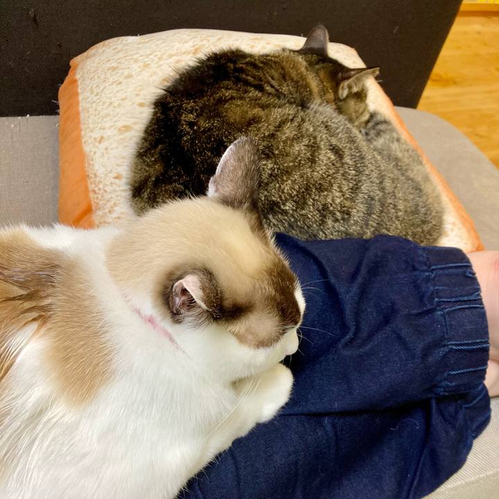 9651bd32 14ba 4e8b 8f32 4cbf06da43a4 1636893866207