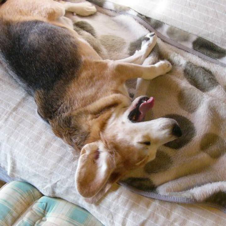 9651ca95 f3f3 4005 b397 25cad5f1d2e5 1674178077247