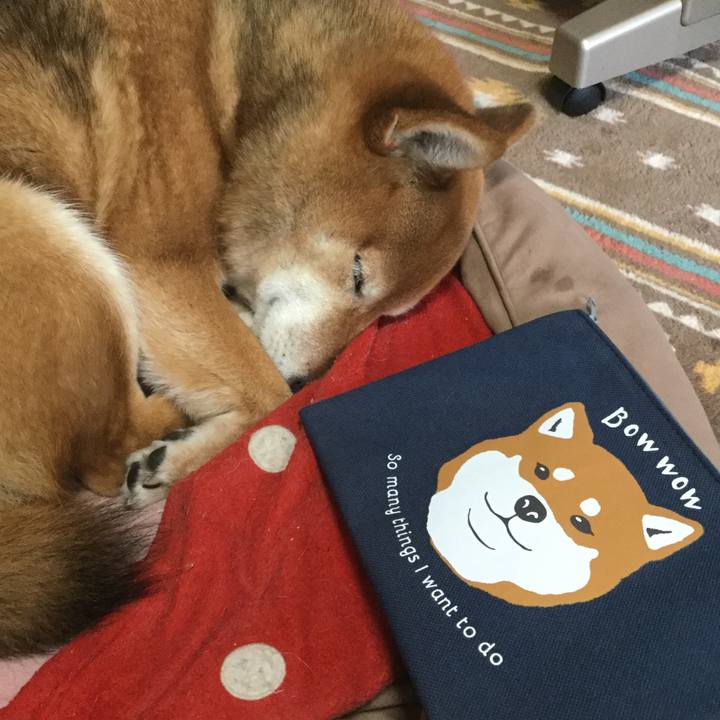 9651f3a6 9635 4e3f a2d5 d611991d2191 1552949509922