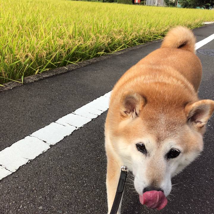 9652097a 37ae 48ba 8cd5 9b071134b94e 1599729927363