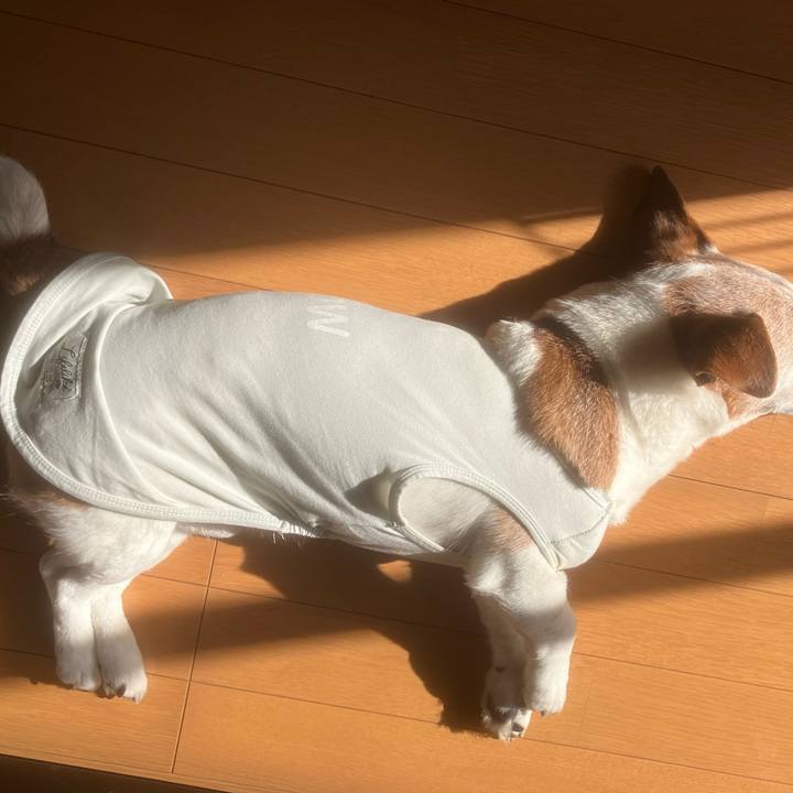 96522948 3226 49b6 a04f 517b85823d80 1775430903155