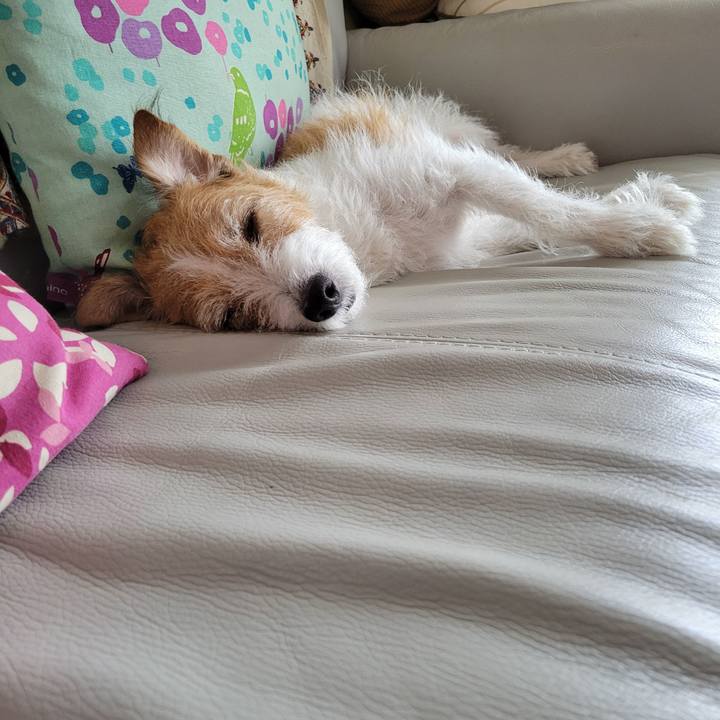 965229a3 70f2 45f3 b583 0c2986633224 1695699842809