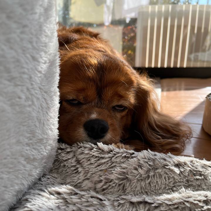 9652575c 240b 4dc9 8358 01c5c76bc06b 1670637691747