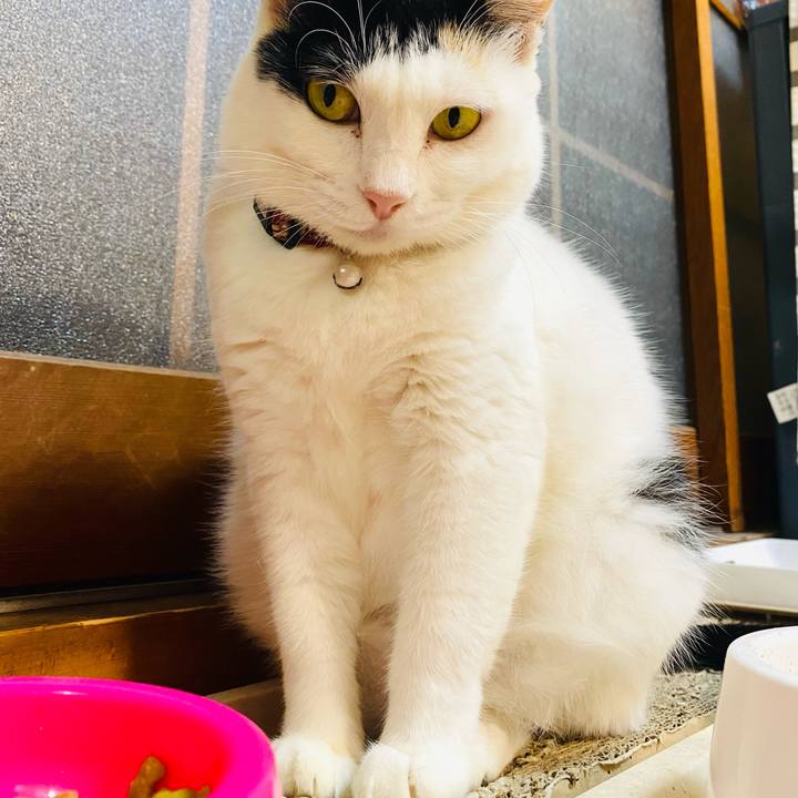 965281e2 6281 48ec 9d61 7a76d8730b07 1665959346455