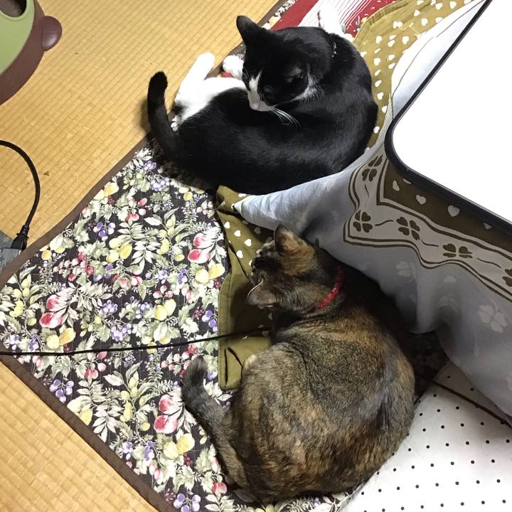 965285a0 2440 4591 9121 979608826c71 1679053244230