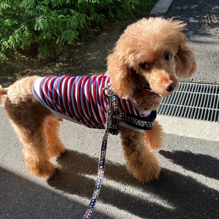 9652947f 66bf 46a9 a3bc 8a16cb45124c 1667695813666