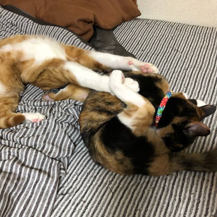 9652da8d 4286 44f6 86af ced3d6110b31 1559564805108