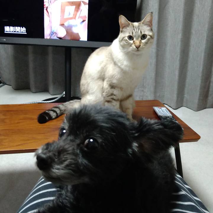 9652dfab 9ec3 4e08 90f1 0fe1930e5d3d 1636024762864