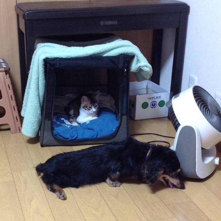 96531522 53ff 4e4e bacc e9abe074749c 1628494232964