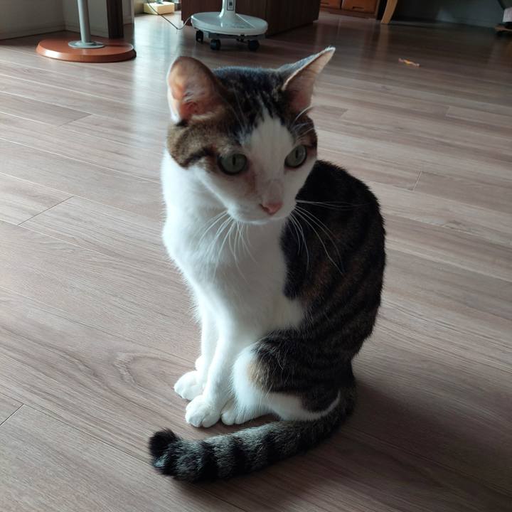 96532419 9dea 43ce a3d0 248c90464434 1688168301244