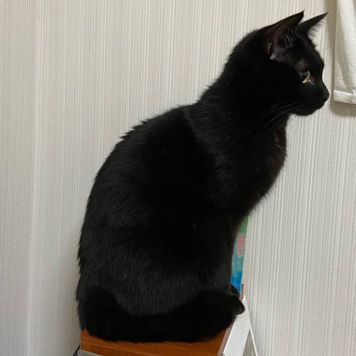 96536f1d c10b 44b4 a960 5a5d778af614 1637494920335