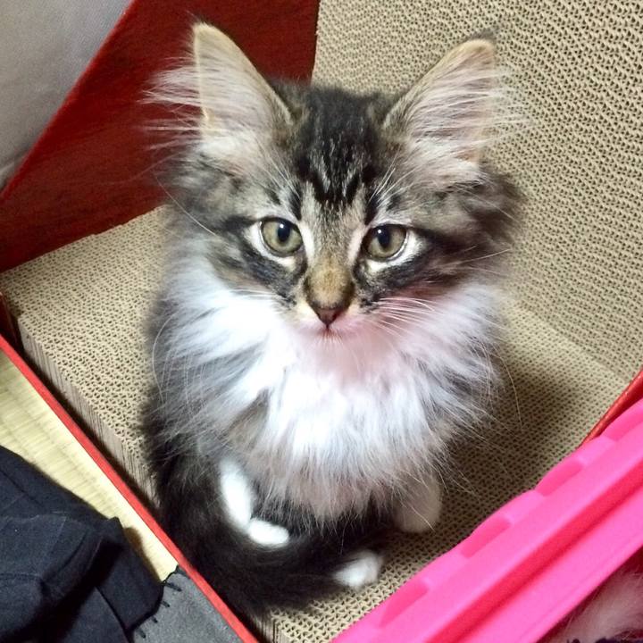 96537b9e de9e 44d4 934b 9e995ea79baa 1518825001347