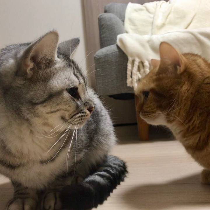 96537c8f 74a2 4261 9e14 bd8ac78ea95c 1543662343056