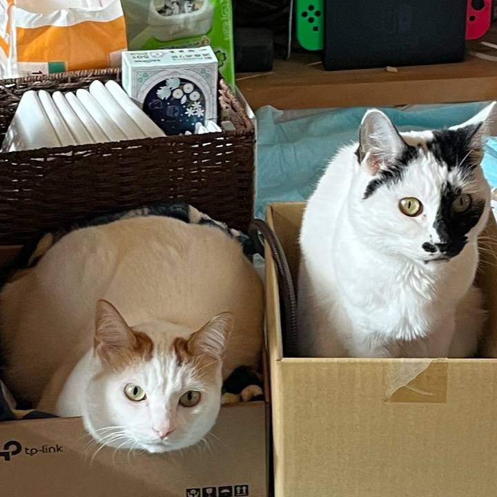 965386e1 8979 42ef 84d5 e94e85594f7b 1765685333438