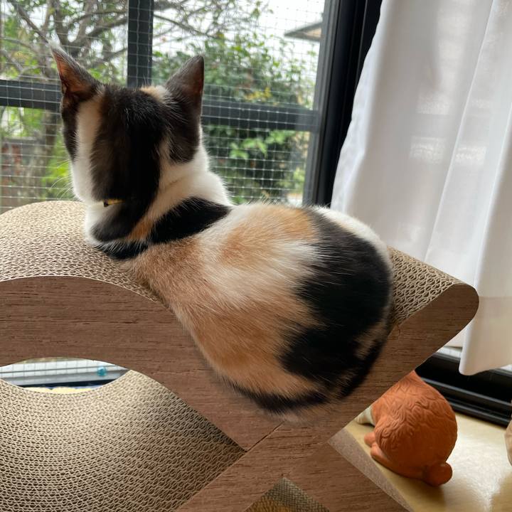 96539234 9621 49df b2b5 de114022bbd0 1665712120112