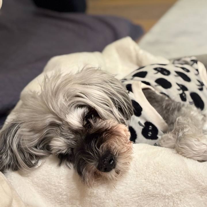 9653f1f4 250f 42f0 8b2b 24eaafb10106 1761832325724