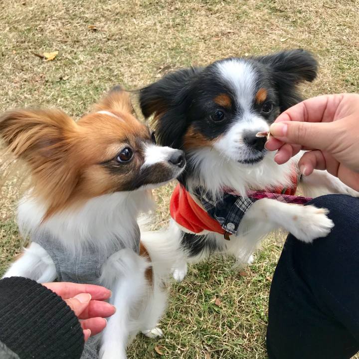 96542e24 f0ea 4e3e 92a2 54e0c66134a2 1511081438274