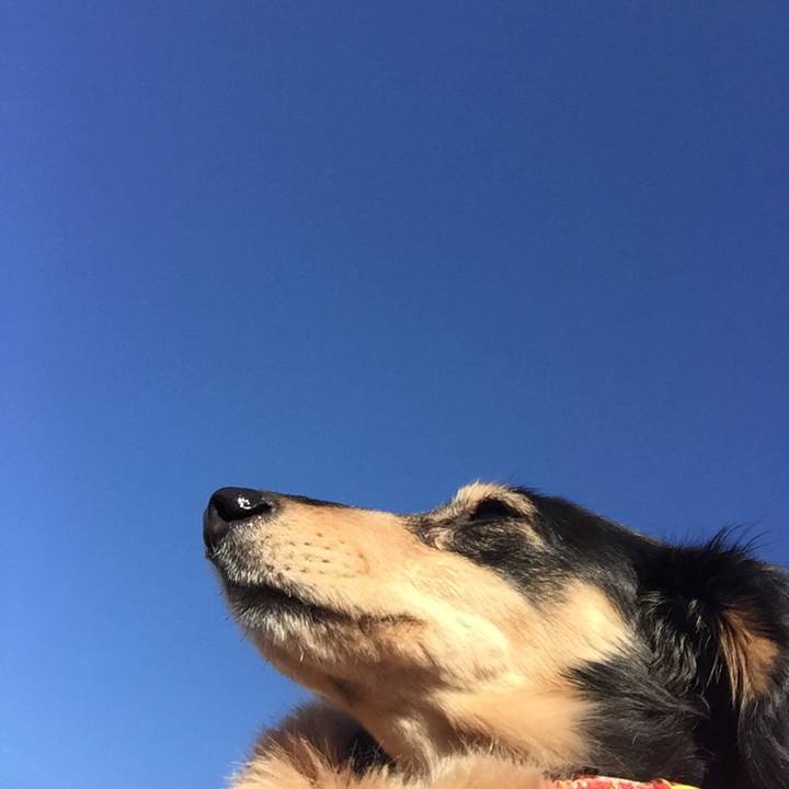 965443b4 bc9f 436a 87a3 3c4088783ab3 1515028403687