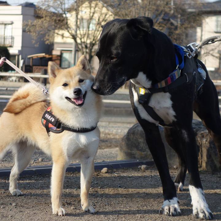 96544b0c 8fcc 4a49 9fc7 c97bc0818968 1646786868707