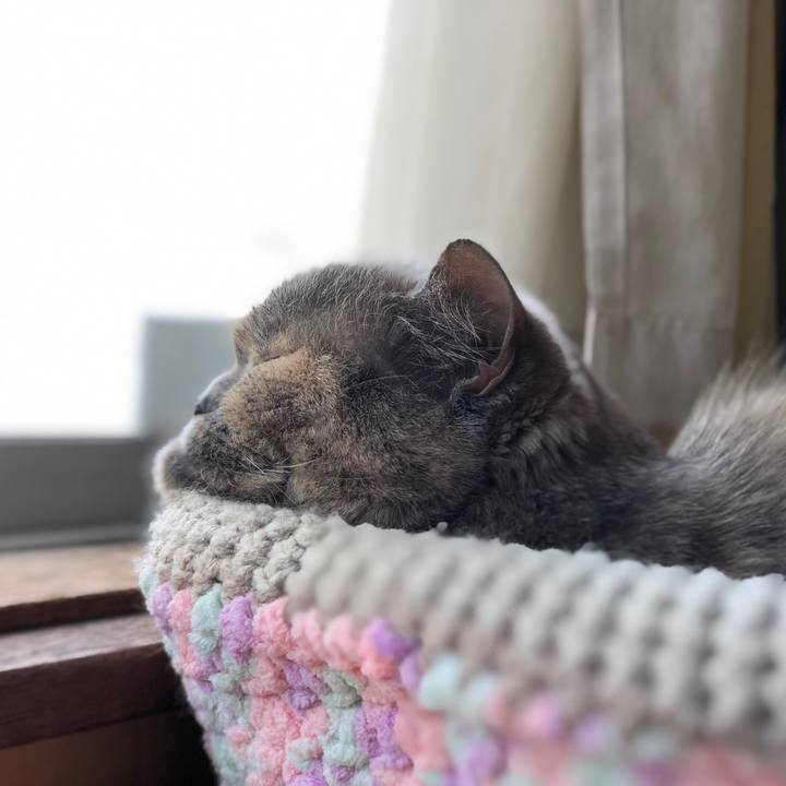 96544c4a 00fb 4ce6 a801 3a2ce60b9685 1684845126511