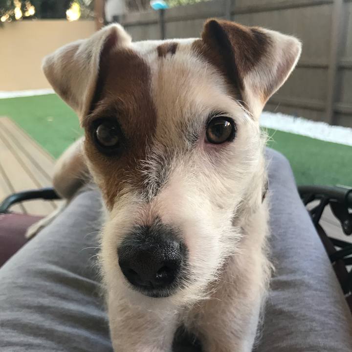 96545ba2 0750 4c1e a6b8 ab61a8cde0da 1528418515049