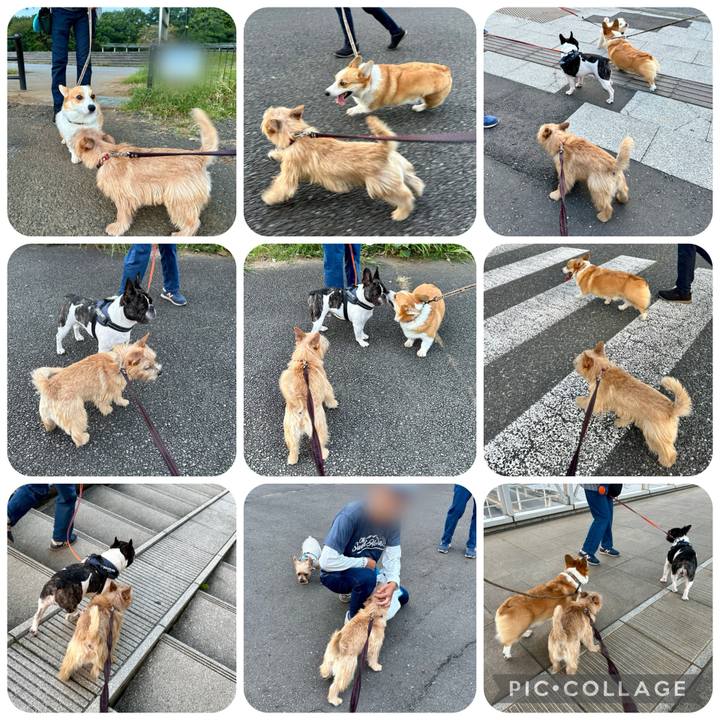 96546202 bbf3 4183 a4cc 801244bf0426 1729133539253