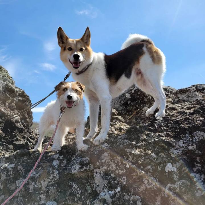 96546812 dde8 459c 905b b742c53dced4 1683466455138